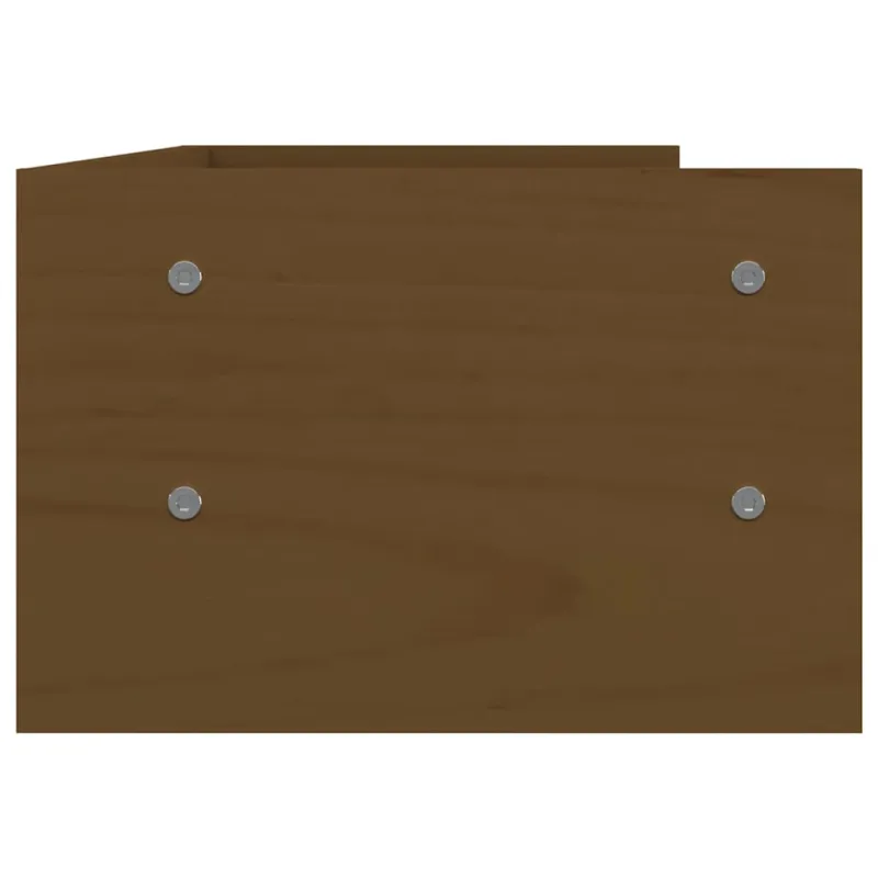 Monitoriaus stovas, medaus rudas, 50x24x16cm, pušies masyvas