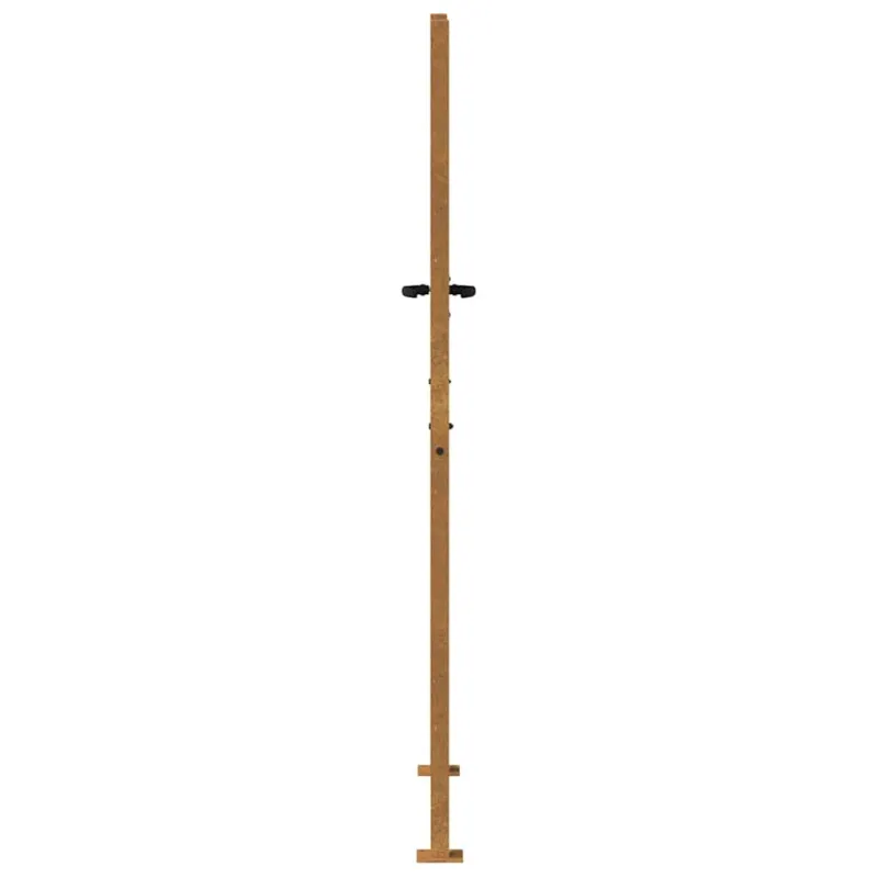 Sodo vartai, 100x200 cm, Corten plienas