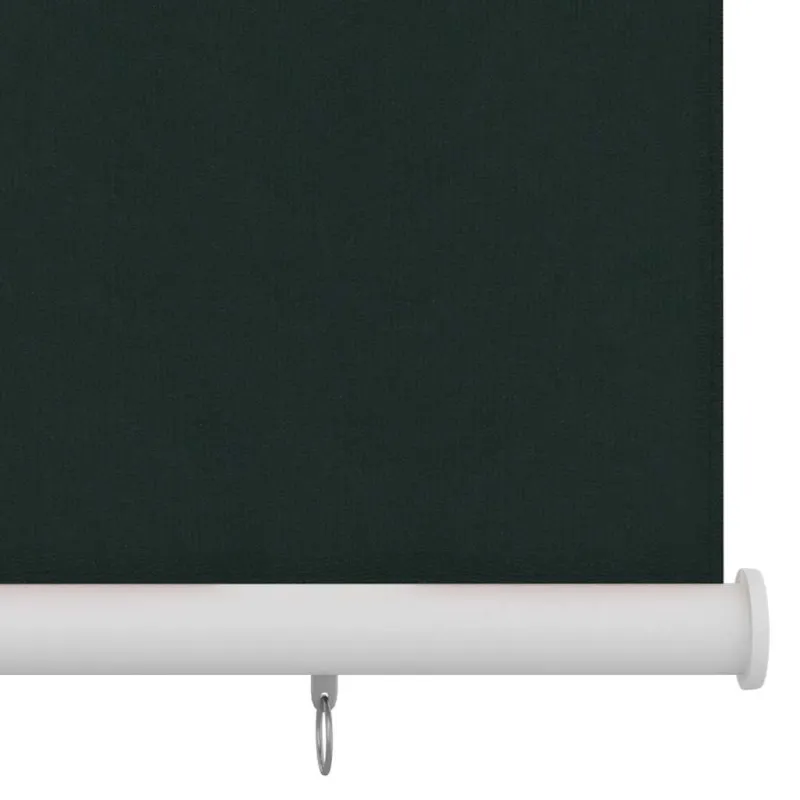 Lauko roletas, tamsiai žalios spalvos, 100x140cm, HDPE