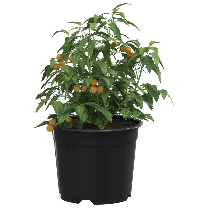 Apvalus gėlių vazonas 200 pcs Juoda Ø 10 x 8 cm Plastmasė