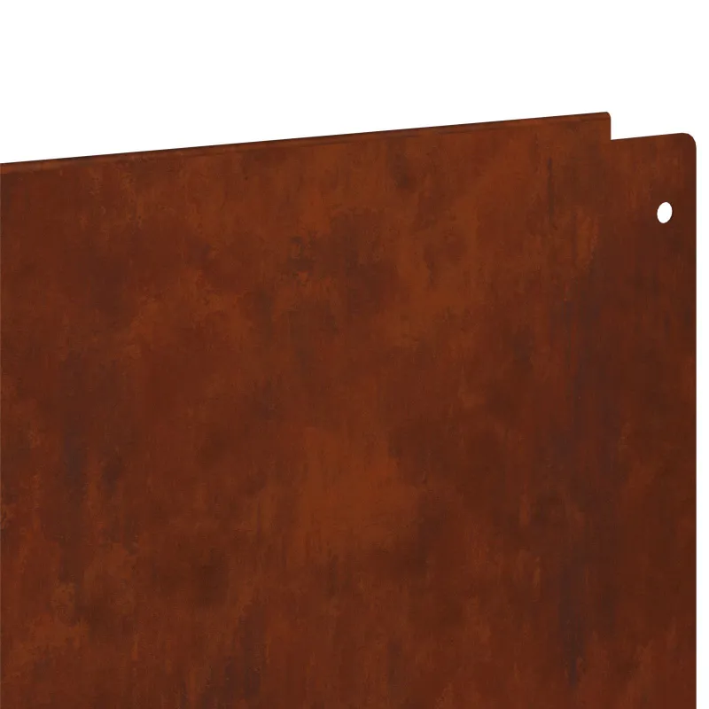 Vejo kraštas 10 pcs 100 x 22 cm Plienas Rūdijanti