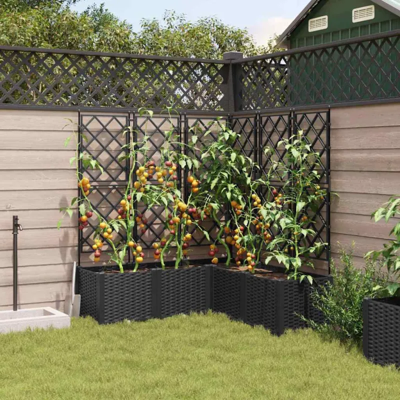 Sodo vazonas 5 pcs Juodas 120 x 120 x 143 cm Plastmasė
