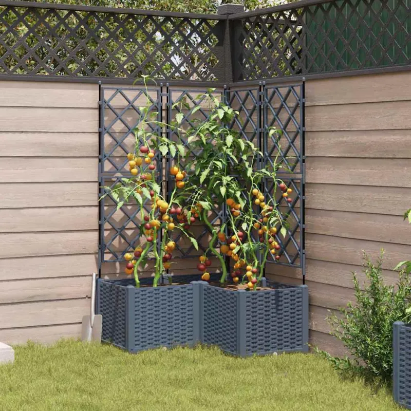 Sodo vazonas 3 pcs Šviesiai Pilka 80 x 80 x 143 cm Plastmasė