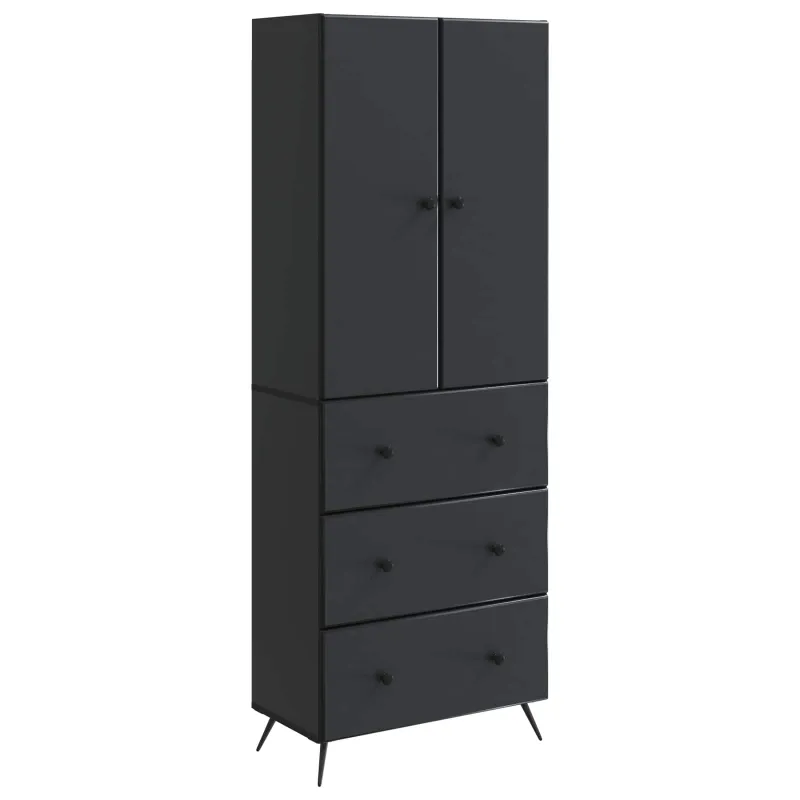 Spintelė 2 pcs Juoda 66 x 34,5 x 90 cm Apdirbta mediena