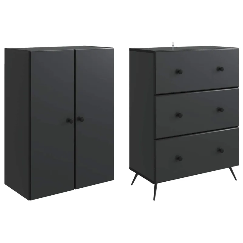 Spintelė 2 pcs Juoda 66 x 34,5 x 90 cm Apdirbta mediena