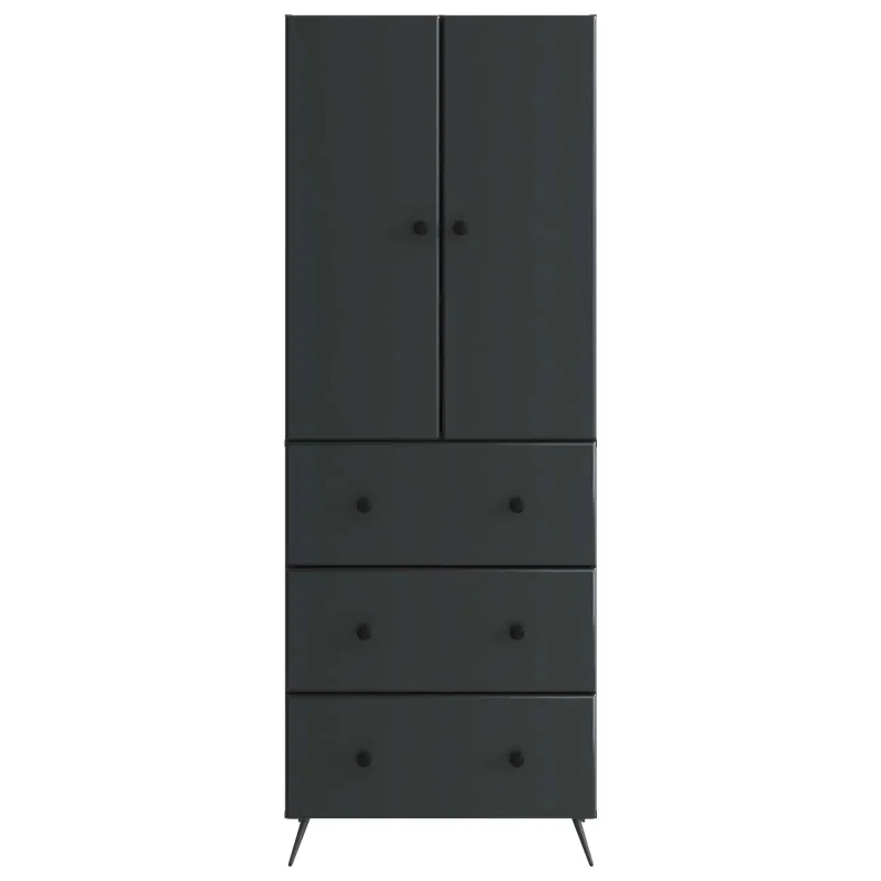 Spintelė 2 pcs Juoda 66 x 34,5 x 90 cm Apdirbta mediena