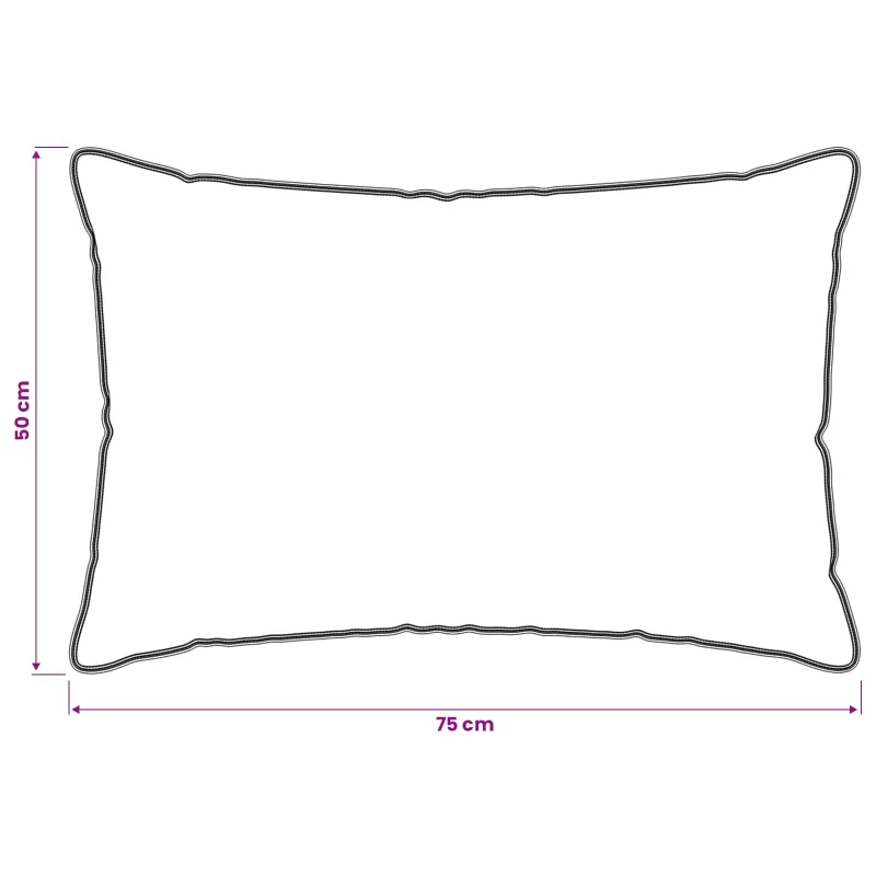 Pagalvė 2 pcs Balta 50 x 75 cm Bambuko pluoštas