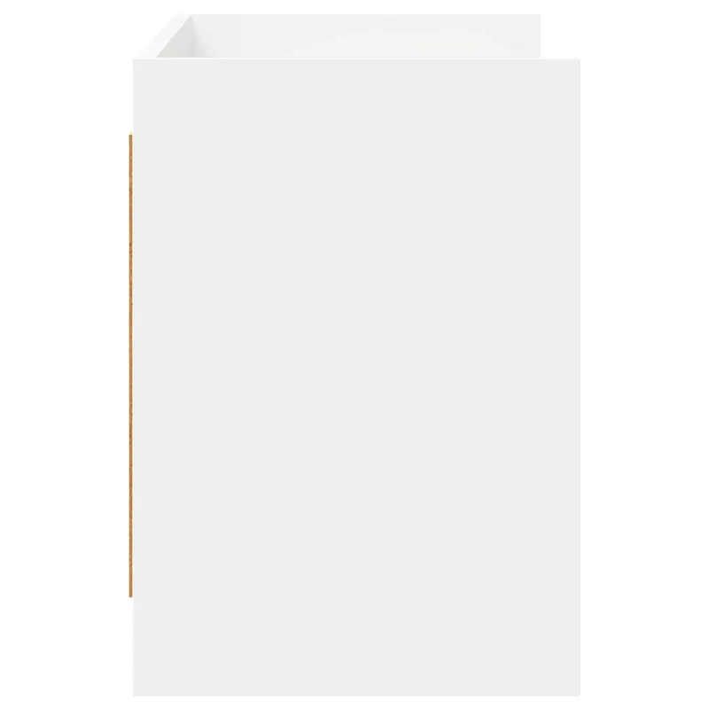 Televizoriaus spintelė 100 x 33 x 47 cm Balta Apdirbta mediena