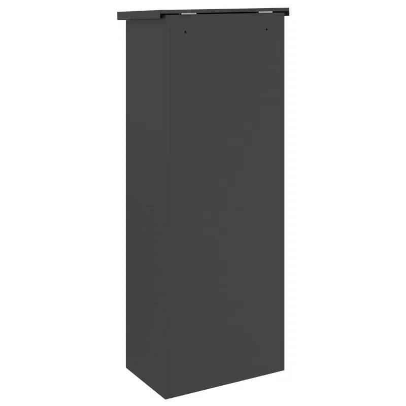 Siuntų dėžutė su saugykla Juoda 44,5 x 29 x 110,5 cm Plienas