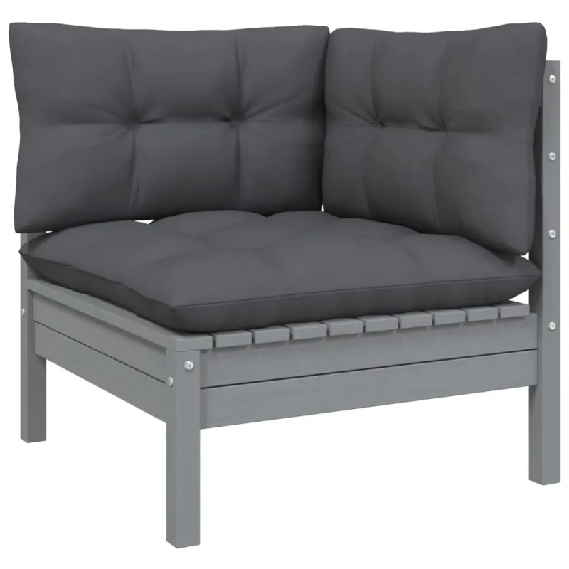 Dvivietė sodo sofa su antracito pagalvėlėmis, pušies masyvas