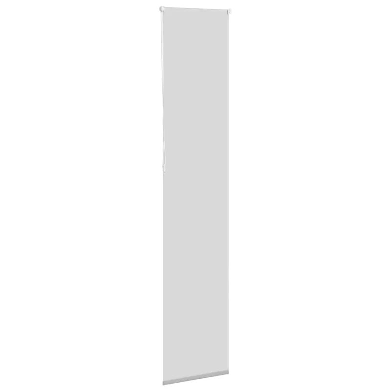 roletas smėlio šviesiai pilka 60x230 cm audinio plotis 55,7 cm