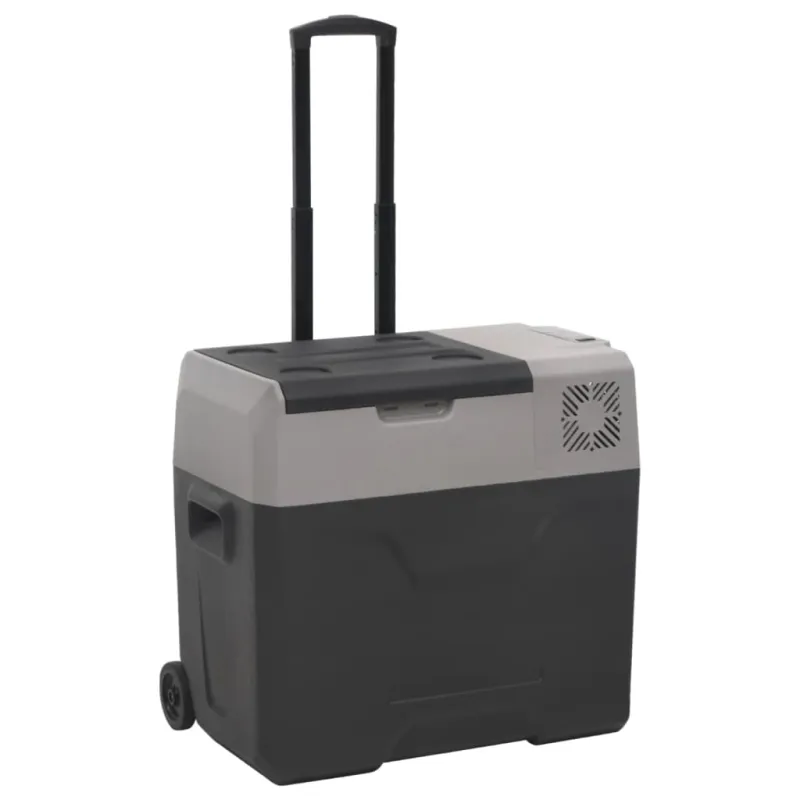 Šaltdėžė su ratukais ir rankena, juoda ir pilka, 30l, PP