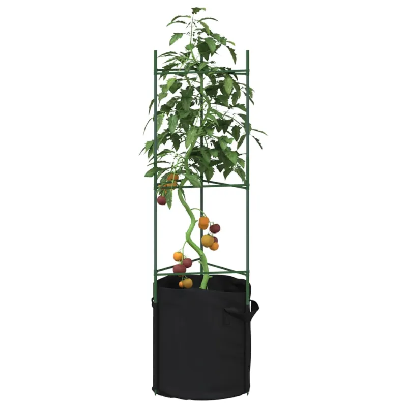 Pomidorų narvas su augalų maišeliu, 2vnt., 116cm, plienas ir PP