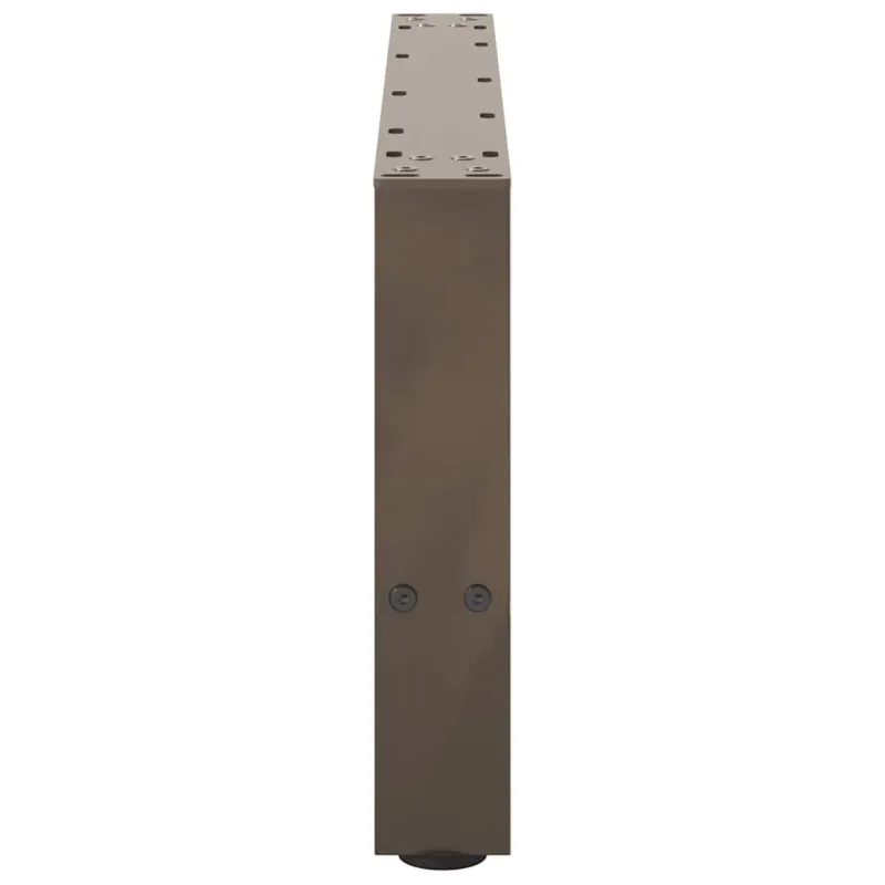 Kavos staliuko kojelės, 2 vnt., 70x(30-31) cm, natūralus plienas