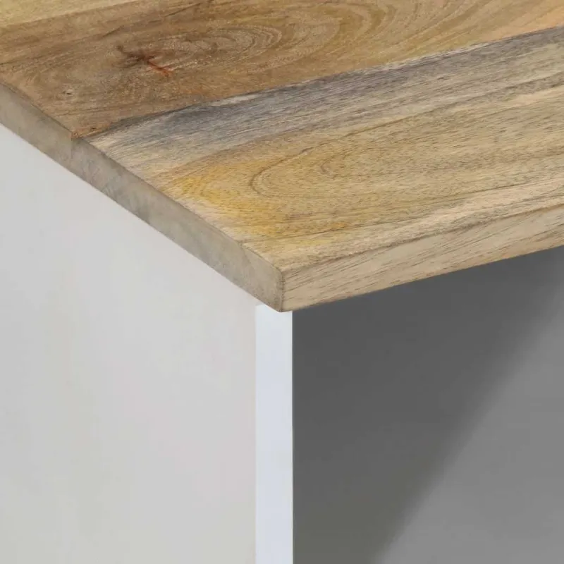 televizoriaus spintelė 100x33,5x46 cm Masyvo Mango