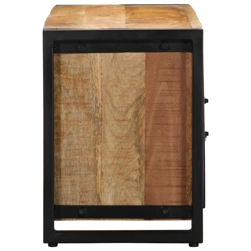televizoriaus spintelė 100x30x40 cm Masyvus Rough Wood Mango