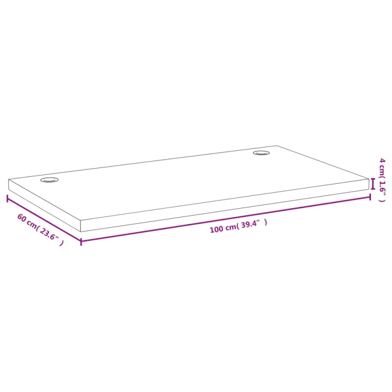 Rašomojo stalo stalviršis, 100x60x4cm, bambukas