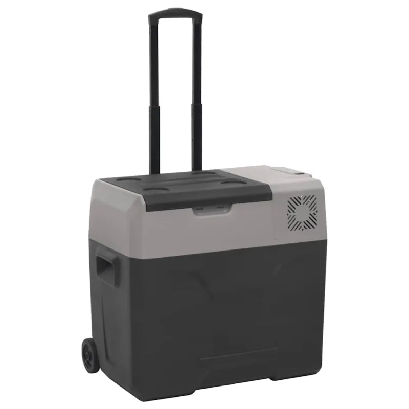 Šaltdėžė su ratukais ir rankena, juoda ir pilka, 40l, PP