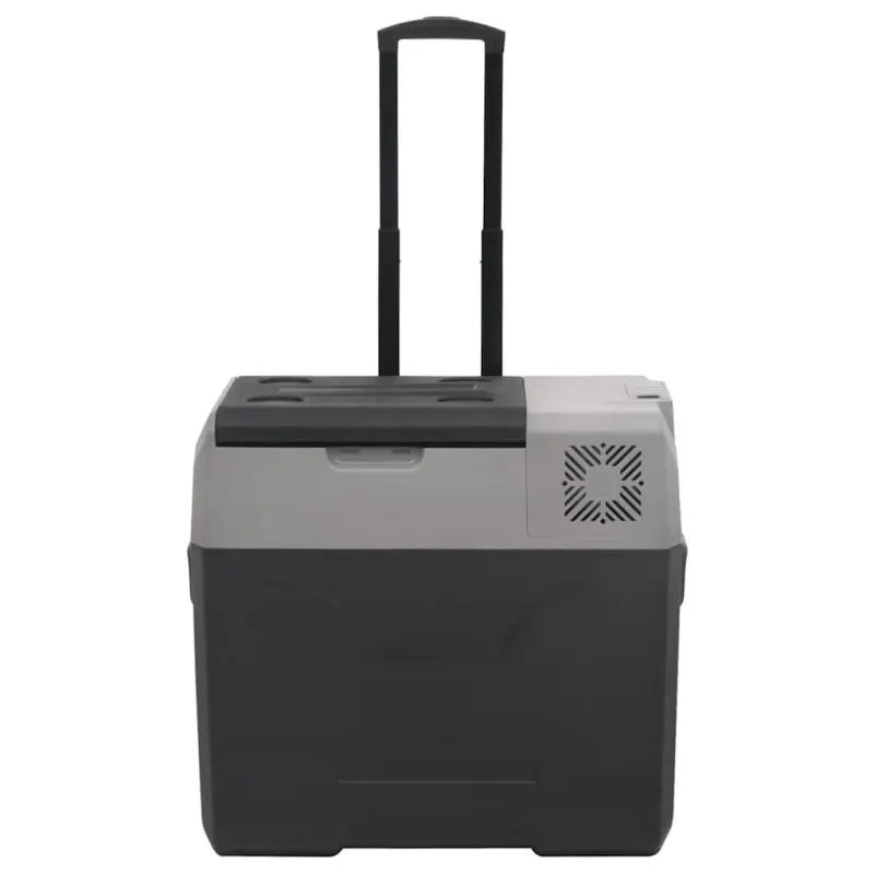 Šaltdėžė su ratukais ir rankena, juoda ir pilka, 40l, PP