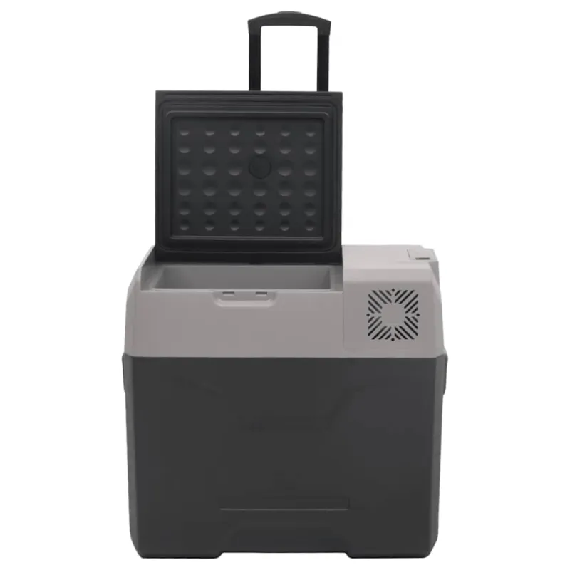 Šaltdėžė su ratukais ir rankena, juoda ir pilka, 40l, PP