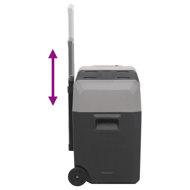 Šaltdėžė su ratukais ir rankena, juoda ir pilka, 40l, PP