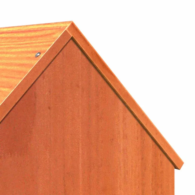 Cat House Wax Ruda 41x50x50 cm Pušies masyvo