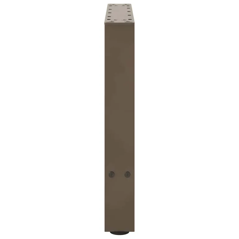 Kavos staliuko kojelės, 2 vnt., 60x(42-43) cm, natūralus plienas