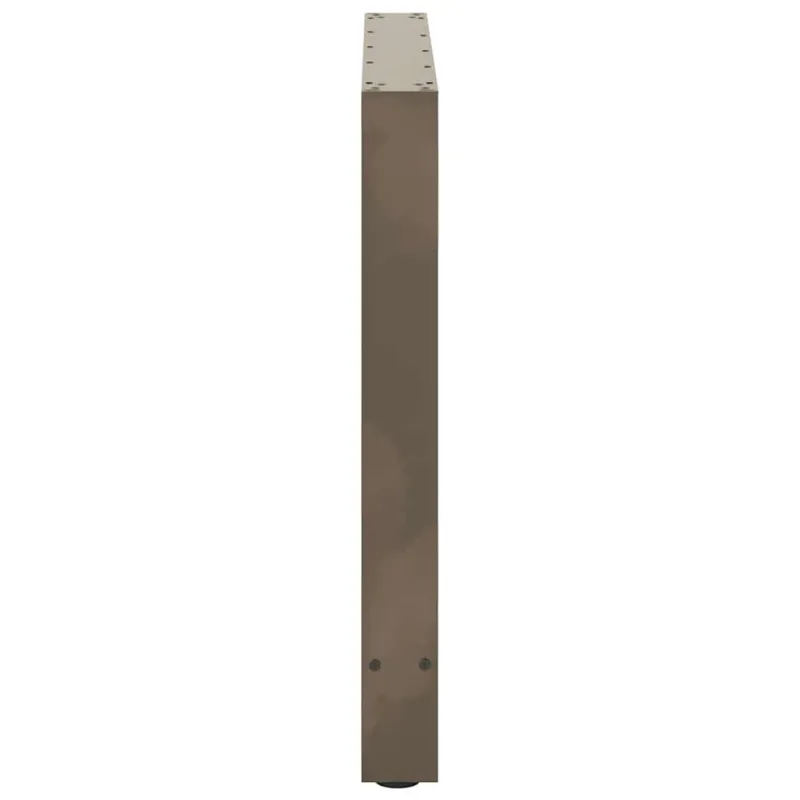 Valgomojo stalo kojos, 2 vnt., 100 x (72-73) cm, natūralus plienas