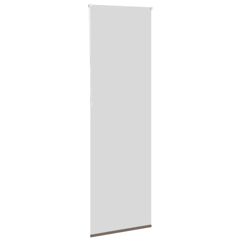 Roletas, neperšlampamas, kavos spalvos, 65x230 cm, audinys, plotis 60,7 cm, poliesteris