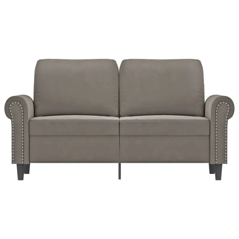 Dvivietė sofa, šviesiai pilkos spalvos, 120cm, aksomas