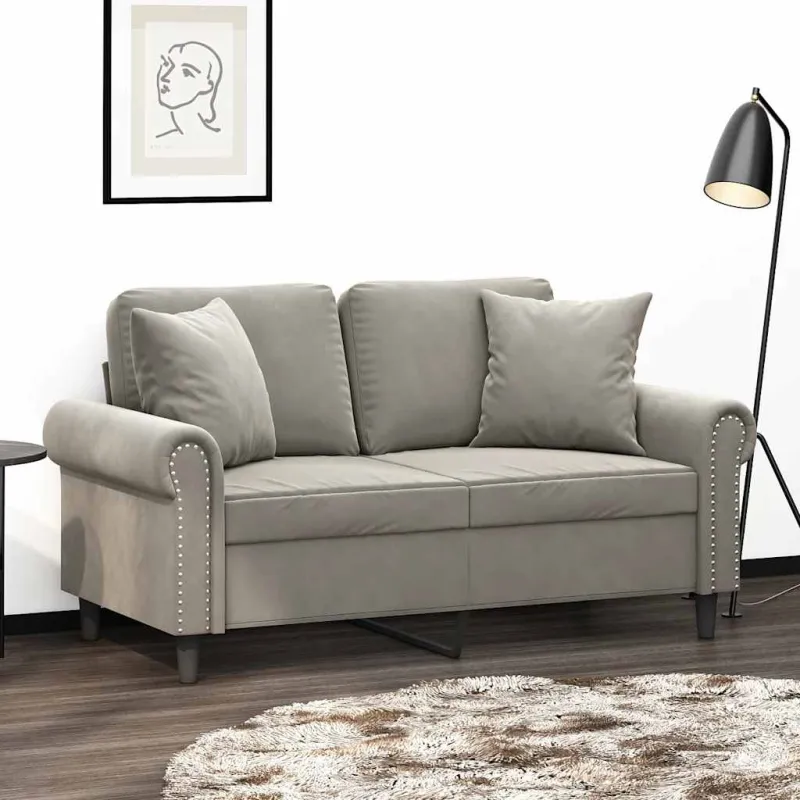 Dvivietė sofa su pagalvėmis, šviesiai pilka, 120cm, aksomas