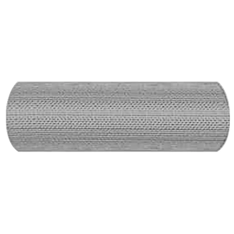 Tinklinis ekranas 20 x 2000 cm 18 mesh Nerūdijantis plienas 304