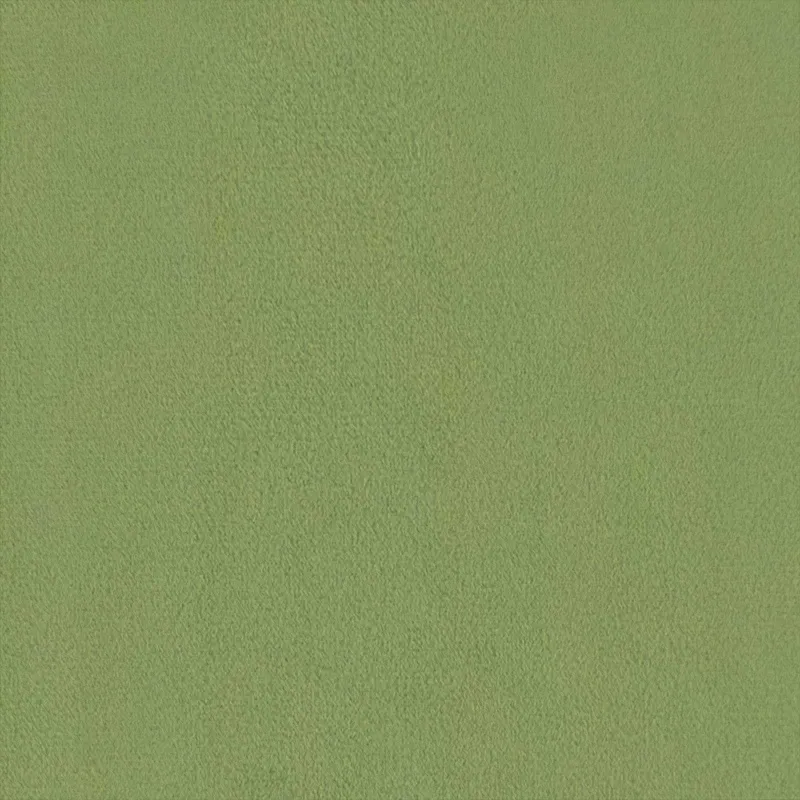 Krėslas Šviesiai žalia Aksomas