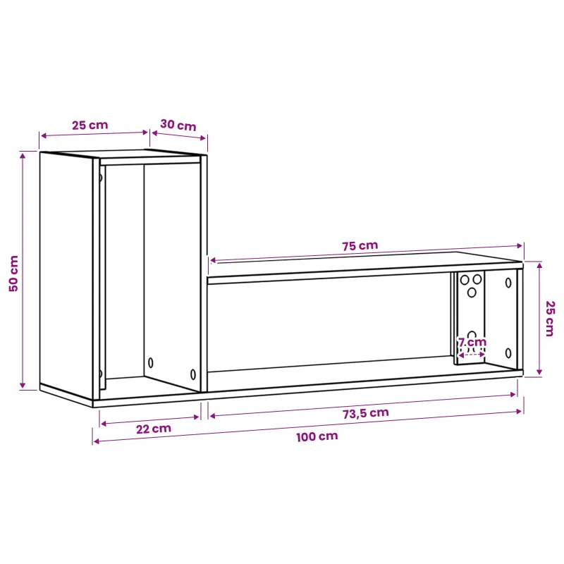 Televizoriaus spintelė 100 x 30 x 50 cm Sendintos medienos