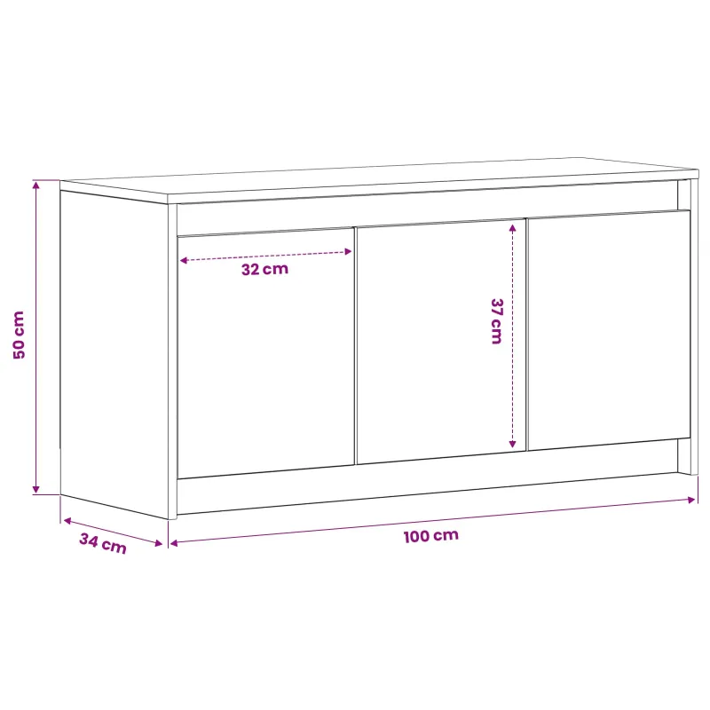 Televizoriaus spintelė 100 x 34 x 50 cm Sendintos medienos