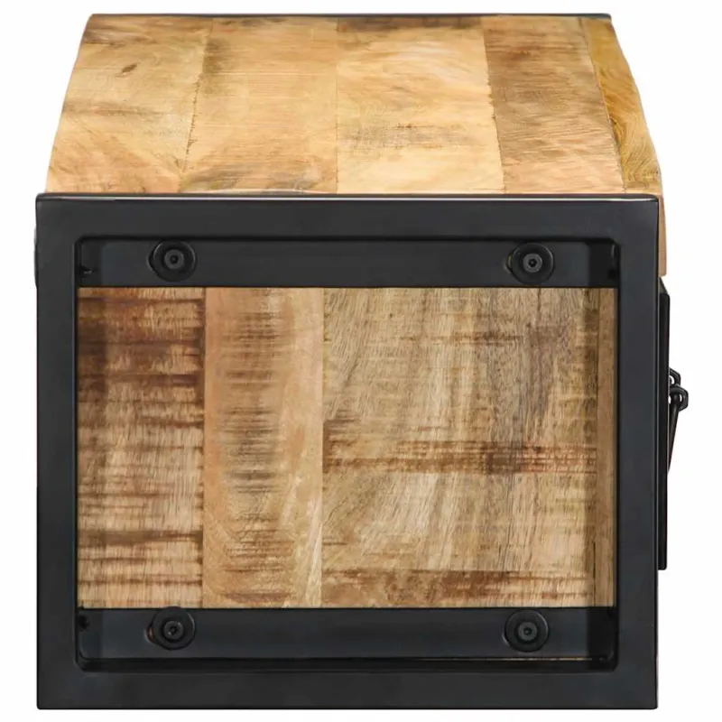 televizoriaus spintelė 100x30x25 cm Masyvus Rough Wood Mango