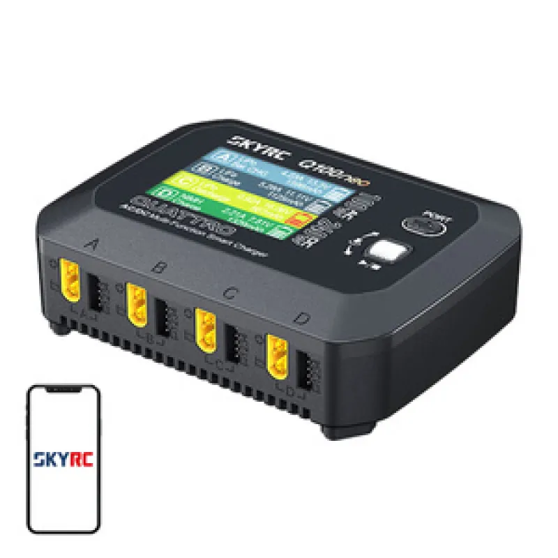 SkyRC Q100neo AC/DC mitmeotstarbeline nutikas laadija, universaalne