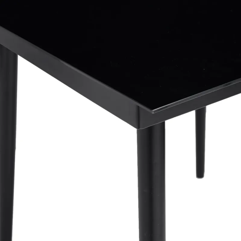 Sodo valgomojo stalas, juodas, 200x100x74cm, plienas ir stiklas