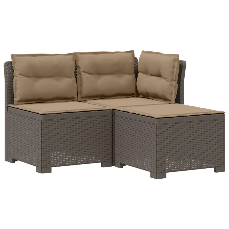 3-vietė sodo sofa su pagalvėlėmis, Rattan išvaizda PP