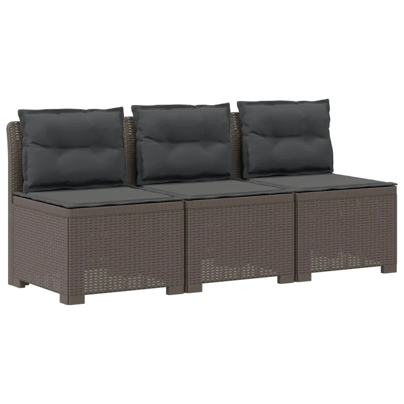 3-vietė sodo sofa su pagalvėlėmis, Rattan išvaizda PP