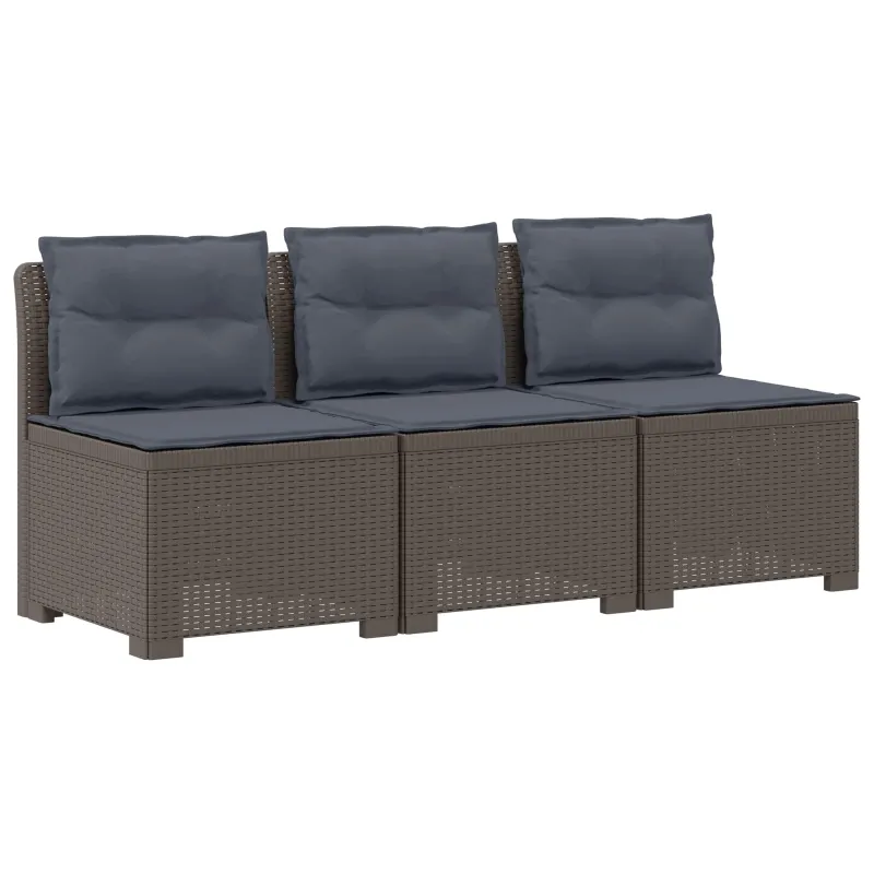 3-vietė sodo sofa su pagalvėlėmis, Rattan išvaizda PP