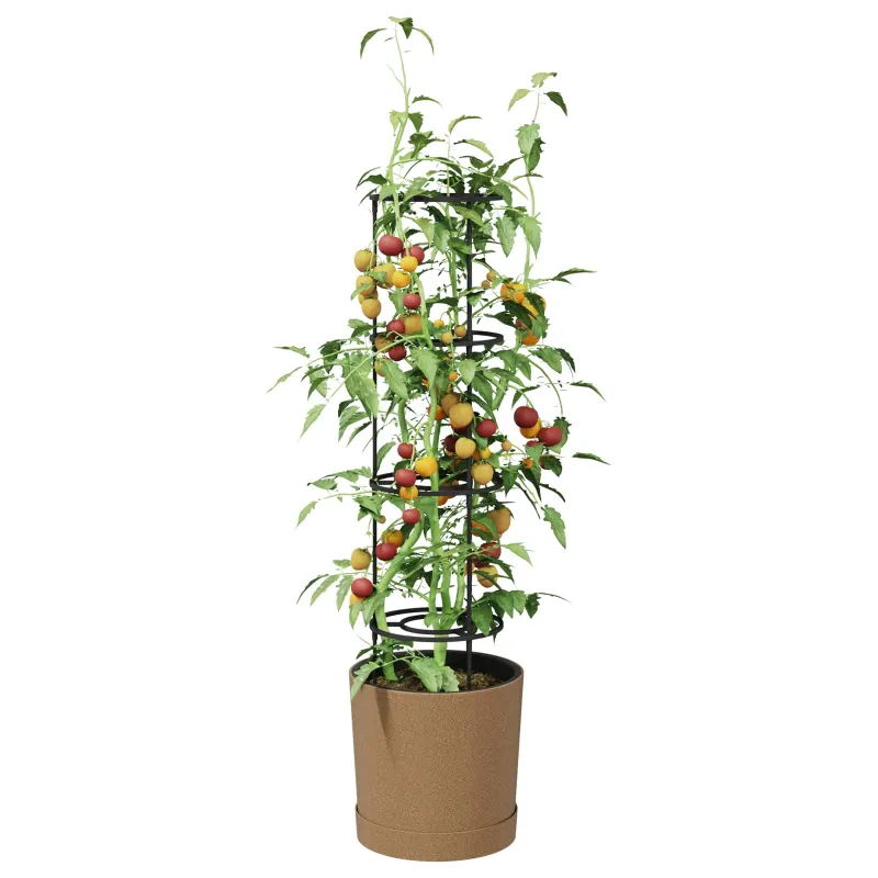 Pomidorų augintojas Naturo ECO Ø 39 x 139 cm WPC