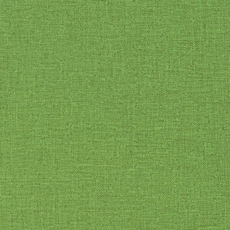 Kėdės pagalvėlės, 2vnt., žalios, 100x50x4cm, audinys