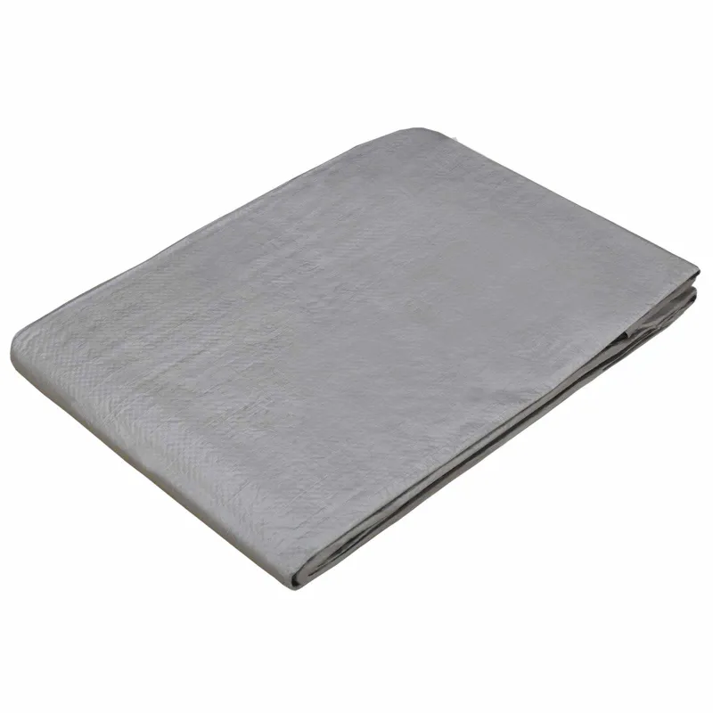 Tent su kilpom Šviesiai pilka 6 x 10 m 90 gsm PE