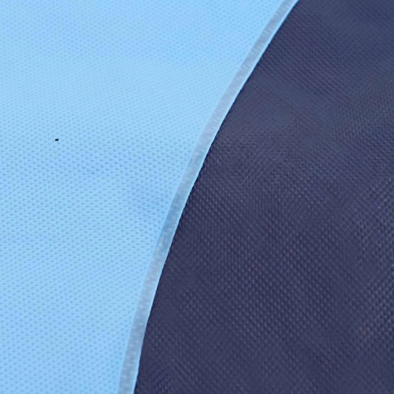 Šlapioji zona vaikams ir šunims Mėlyna Ø200 x 9 cm PVC