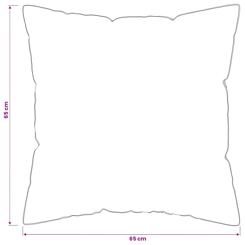 90% žąsies pūkų antklodės komplektas FULDA 3 vnt. 200 x 200 cm