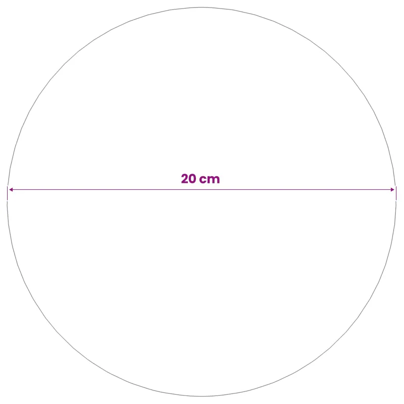 Veidrodinis kamuolys Ø 20 cm Sidabrinė Nerūdijantis plienas 201