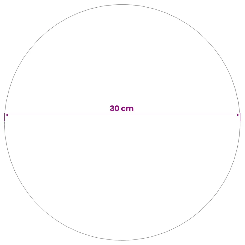 Veidrodinis kamuolys Ø 30 cm Sidabrinė Nerūdijantis plienas 201