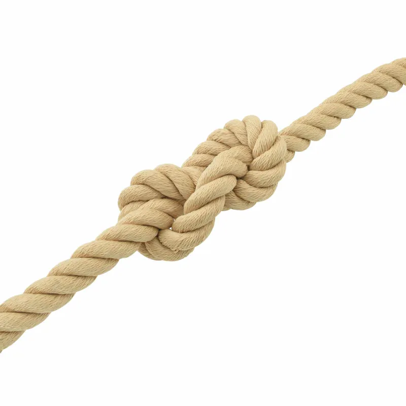 Laivo virvė 5 mm 5 m Natūrali