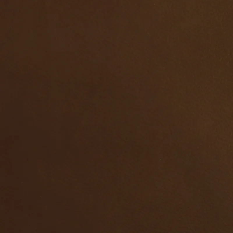 Poilsio krėslas, rudos spalvos, tikra oda